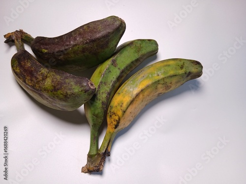 Cuadro en lienzo Musa balbisiana, A wild banana of Southeast Asia