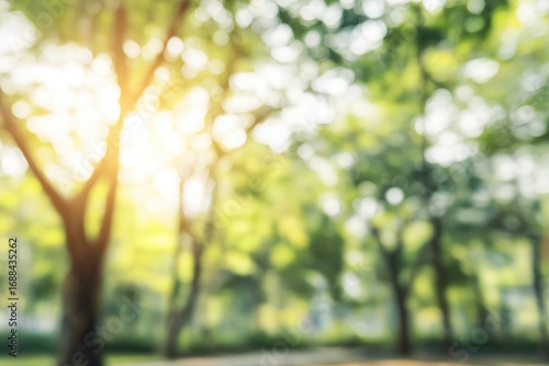 Blurred sunny park image featuring trees in soft focus with sun flaring through the foliage, and ground visible in the foreground