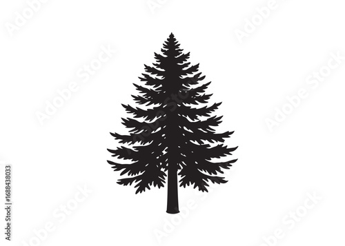 Redwood tree silhouette vector illustration isolated on white background.
