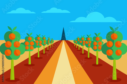 Vibrant vector illustration of an orange orchard landscape with rows of fruit trees and sky
