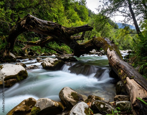 A serene river flowing beneath a fallen tree