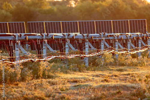 Wallpaper Mural Solar farm in East Texas Torontodigital.ca