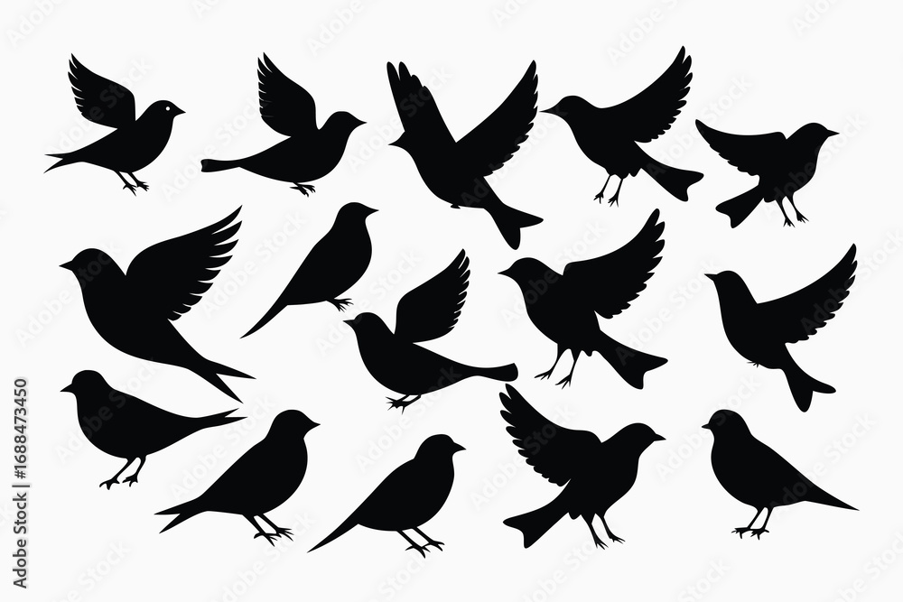 Obraz premium Black Silhouettes of Fifteen Birds in Various Poses Against White Background, Some Flying