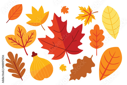 Colorful Autumn Leaves Set Flat Style Fall Foliage and Gourd Illustration