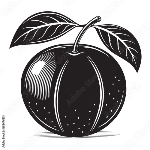Black tangerine Silhouette Vector, High Quality Illustration on White Background