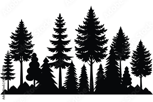 Forest Silhouette Black and White Illustration of Evergreen Trees on a White Background