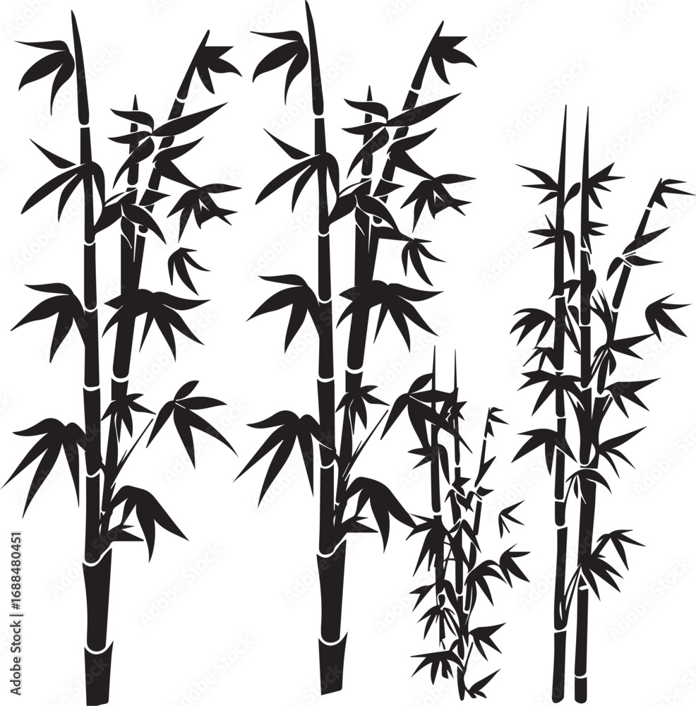 Obraz premium Elegant Bamboo Silhouette: Capturing the serene beauty of nature, a cluster of graceful bamboo stalks stands tall, their intricate silhouettes defining an illustration.