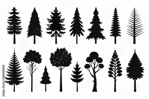 Silhouette Collection of Various Trees Evergreen, Deciduous, and Stylized Tree Illustrations Isolated