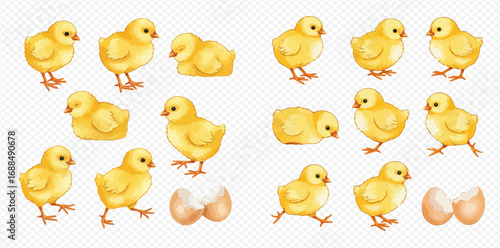 A collection of cute, fluffy yellow baby chicks in various poses with broken eggshells.