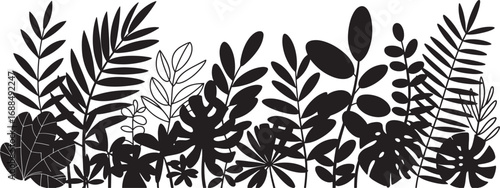 Silhouette of spring and summer tropical plants and flowers. Horizontal pattern. Vector illustration of nature ficus, palm, monstera, fern, black and white color isolated on white background