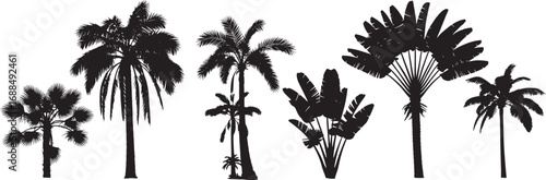 Black Silhouette Tropical Palm Tree Collection