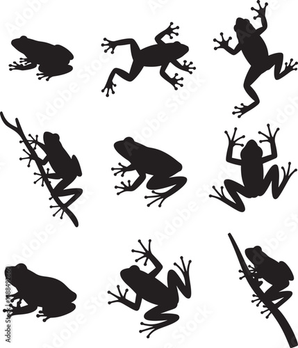 Frog Silhouette Vector Logo Icon Illustration – Tree Frog Design Isolated on white Background