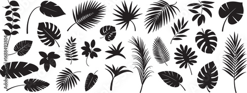 Tropical leaves vector. Set of palm leaves silhouettes isolated on transparent background.