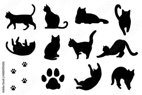 猫のいろんなポーズセット