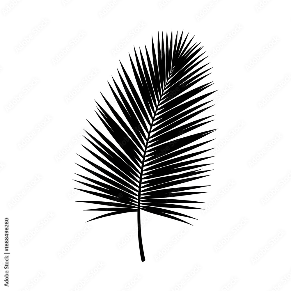 Obraz premium Black background abstract dark texture blank empty space design wallpaper