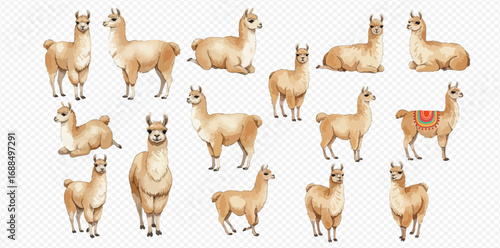 A collection of cute watercolor llamas in various poses, including standing, sitting, and lying down, isolated on a transparent background.