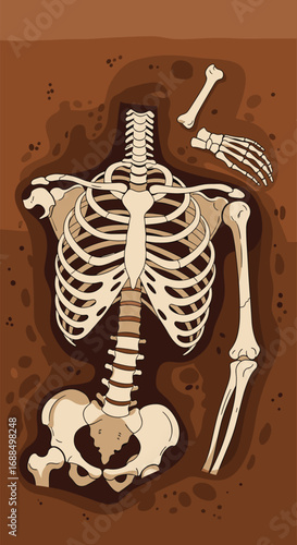Ancient human skeleton unearthed during archaeological dig site excavation discovery