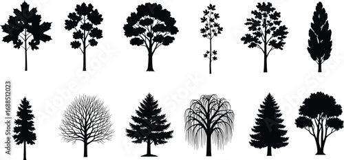 Collection of various tree silhouettes, deciduous and evergreen types, black and white, isolated nature elements, botanical vector illustrations.