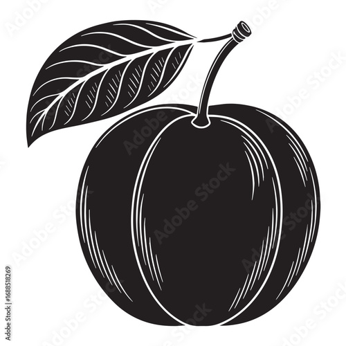 Black satsuma Silhouette Vector, High Quality Illustration on White Background
