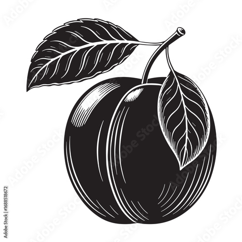 Black tangerine Silhouette Vector, High Quality Illustration on White Background