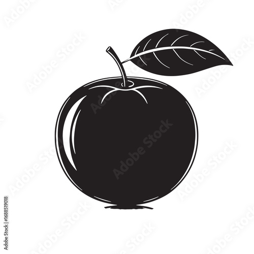 Black tangerine Silhouette Vector, High Quality Illustration on White Background