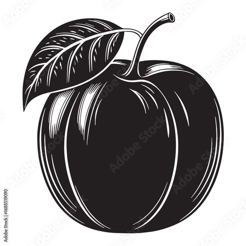 Black tangerine Silhouette Vector, High Quality Illustration on White Background