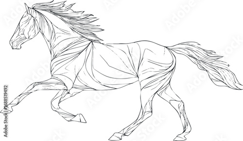 Black and white line art drawing of a running horse showing dynamic movement and muscle details