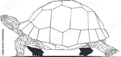 Side view line art illustration of a turtle with geometric polygon shell pattern on white background