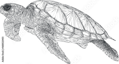Detailed black and white line drawing of a sea turtle swimming underwater in natural ocean habitat