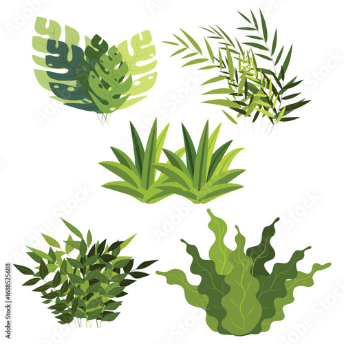 Botanical Illustration of Diverse Green Plants A Collection of Tropical Foliage and Verdant Grasses for Nature Inspired Designs.