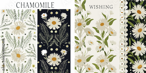 Delicate chamomile flower patterns and wishing illustration with botanical elements