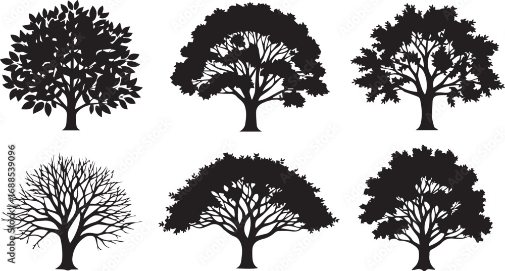 Fototapeta premium Vector art of collection of tree silhouette for design use