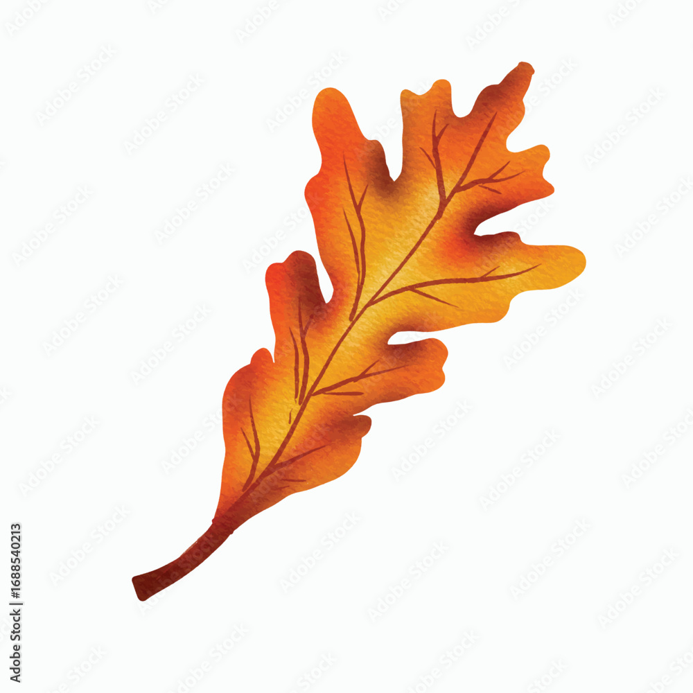 Fototapeta premium Illustration of an Autumn Oak Leaf