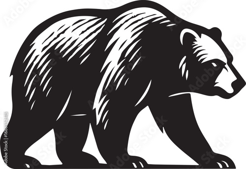 Walking bear and looking