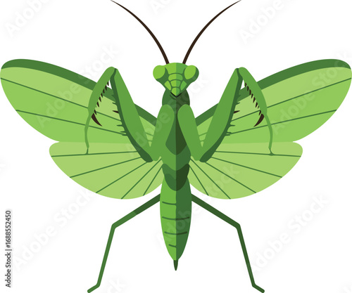 Description cartoon praying mantis with open wings. Suitable for educational materials or naturethemed designs. 