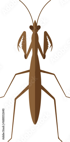 Brown praying mantis isolated on white. Ideal for educational materials, science projects, naturethemed designs, insect studies, and wildlife presentations.