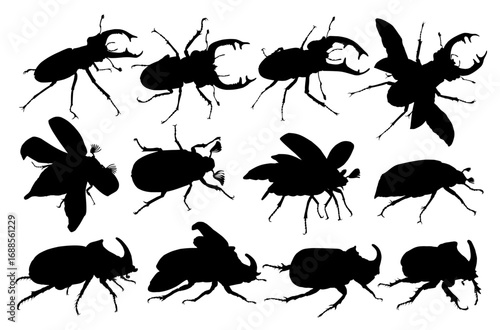 The set of beetles silhouettes. 
