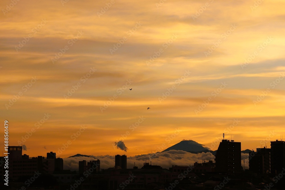 Fototapeta premium View of Mount Fuji from Tokyo with a sea of ​​clouds after a typhoon
