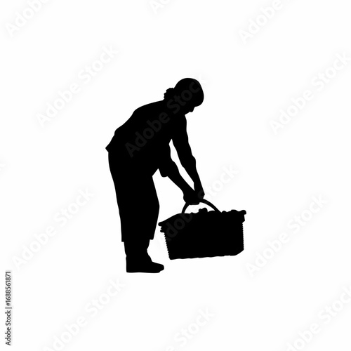 Silhouette of a worker sorting grapes in a vineyard field