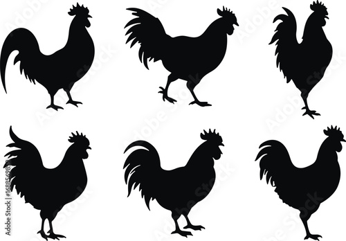 Rooster silhouette collection, chicken farm bird vector set, poultry animal illustration, countryside farming icons design, CAD drawing flat vector illustration