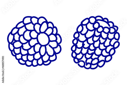 Raspberry in doodle style on white background. Summer berry illustration.
