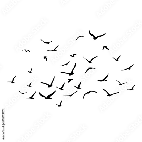 A flock of flying silhouette birds. Black on white background. Vector