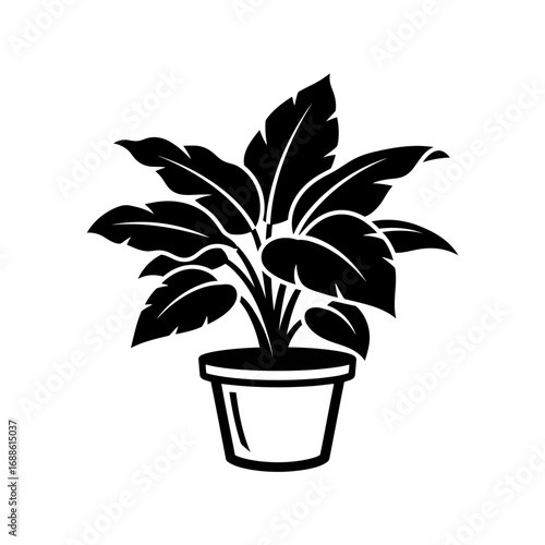 flower in pot