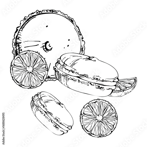 Sandwich pies filled with cream, orange slices, citrus macarons hand drawn in vector ink. Isolated illustration for kitchen wall decor, festival food menus, dessert blog graphics, bakery sticker.