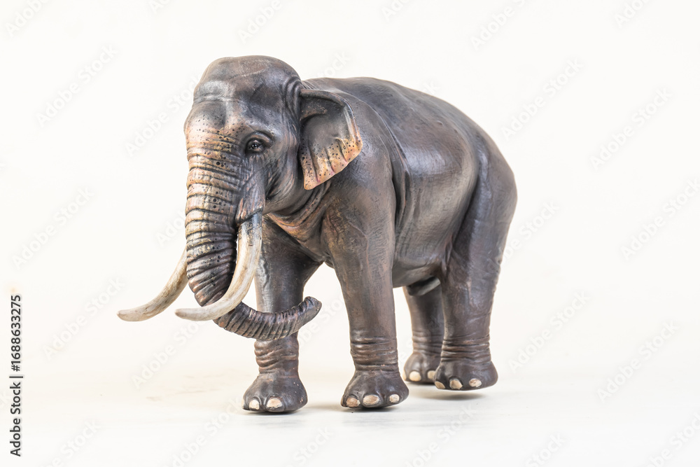 Fototapeta premium asian elephant on isolated background
