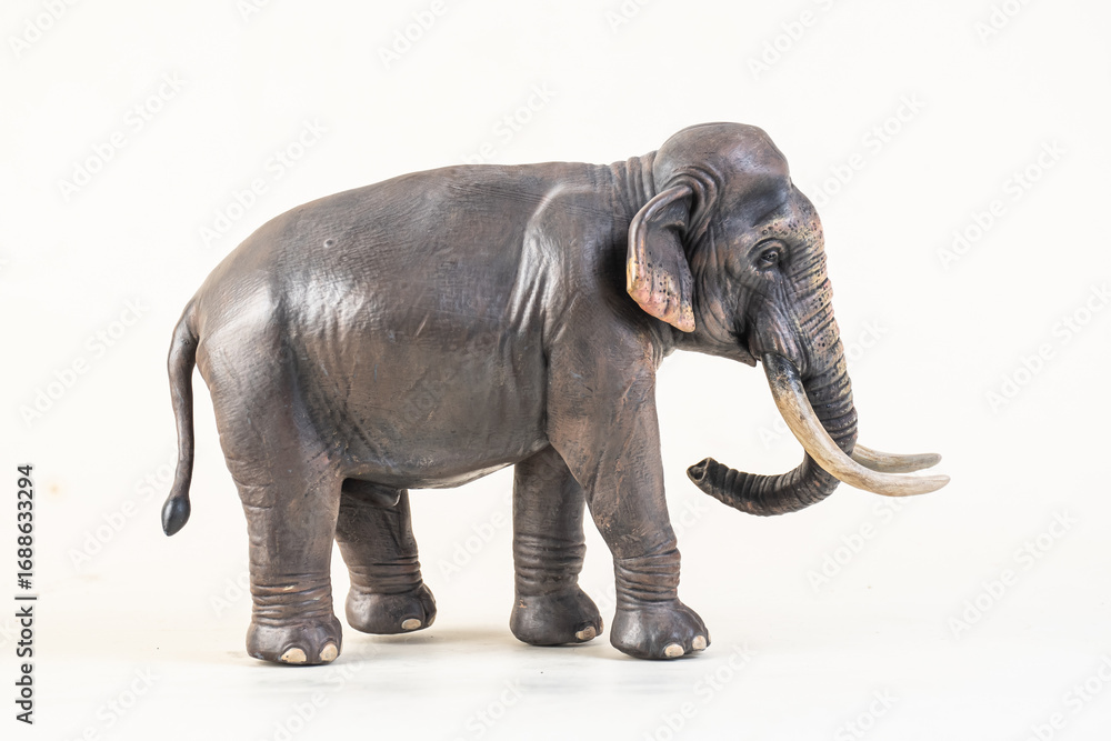 Obraz premium asian elephant on isolated background