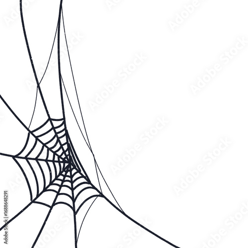 Spiderweb
