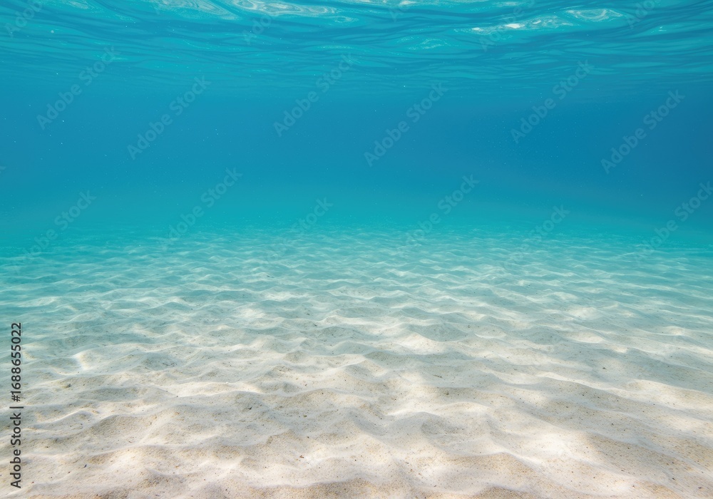Fototapeta premium underwater background with sandy sea bottom