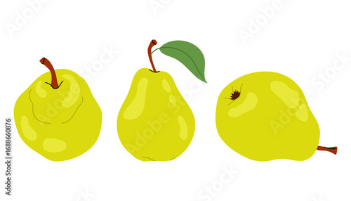 Set vector illustrations ripe pear. Juicy pears isolated on white background. Fruit. Healthy fruit snack.