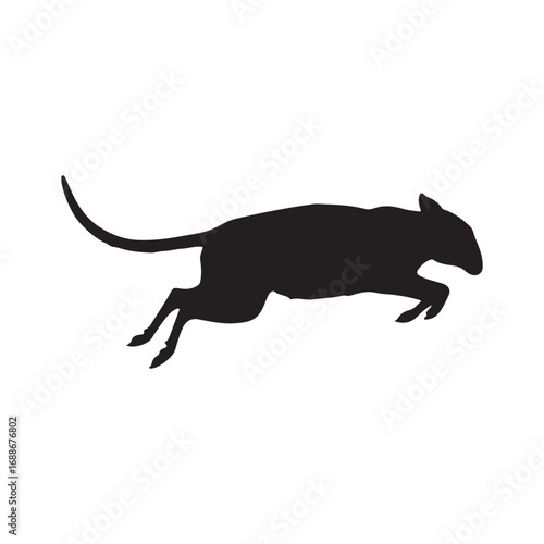 Jumping Jerboa On a Side View Silhouette Found In Map Of Northern Africa and Asia. Good To Use For Element Print Book  Animal Book and Animal Content